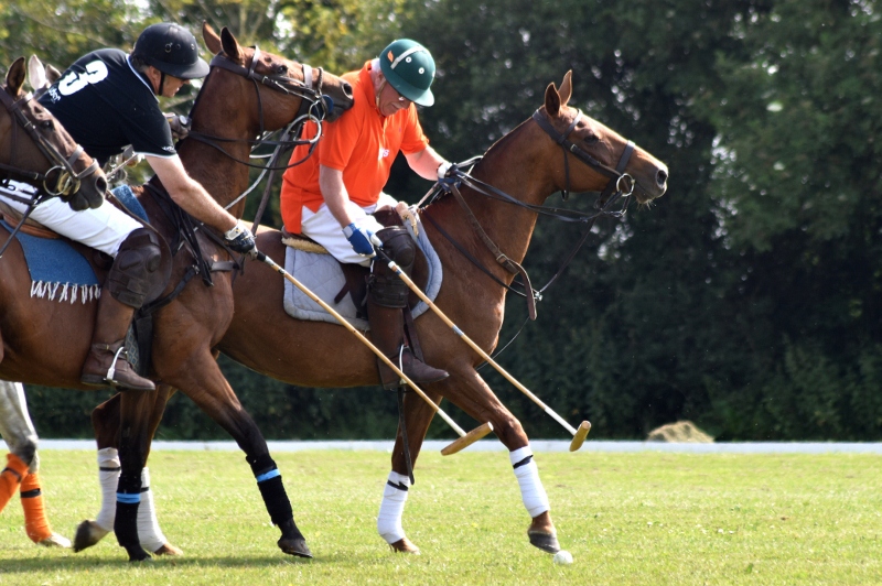 polo